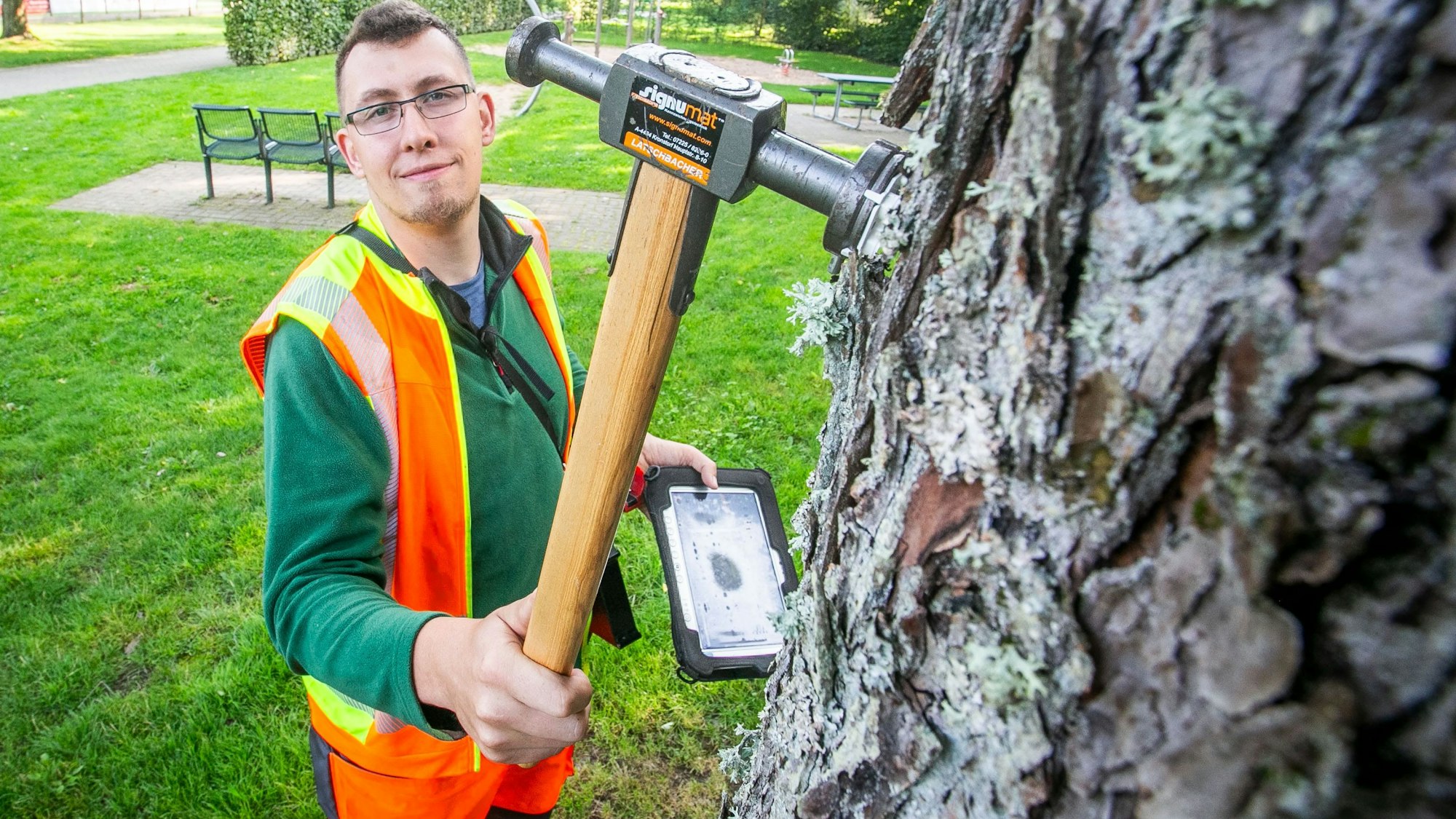 Mit einem Spezialhammer in der Hand bringt Baumkontrolleur Jens Altweier ein Nummernschild an einem Baum an.