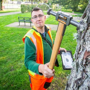 Mit einem Spezialhammer in der Hand bringt Baumkontrolleur Jens Altweier ein Nummernschild an einem Baum an.