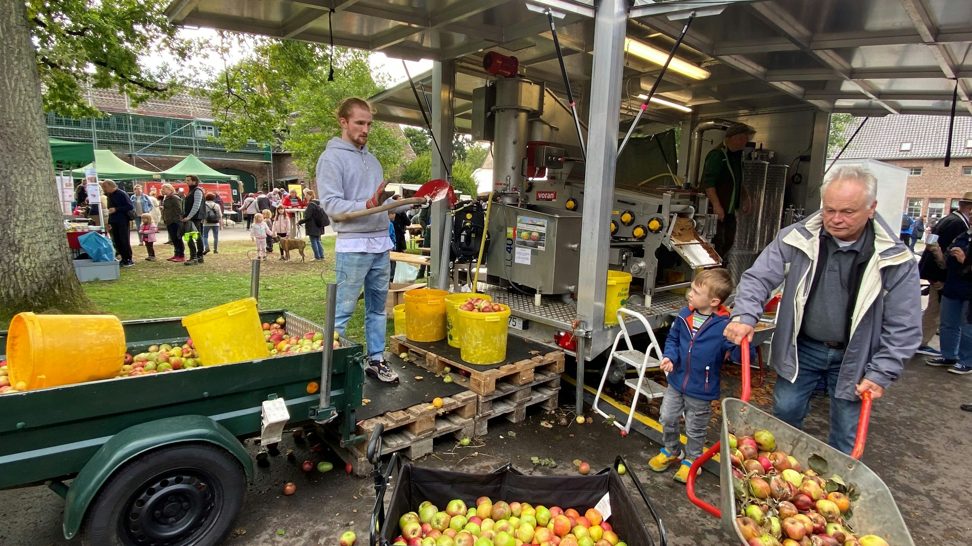 Beim Apfeltag auf Gut Leidenhausen verwandelt die mobile Obstpresse Äpfel, die Besucher schubkarrenweise mitgebracht hatten, in köstlichen Saft.