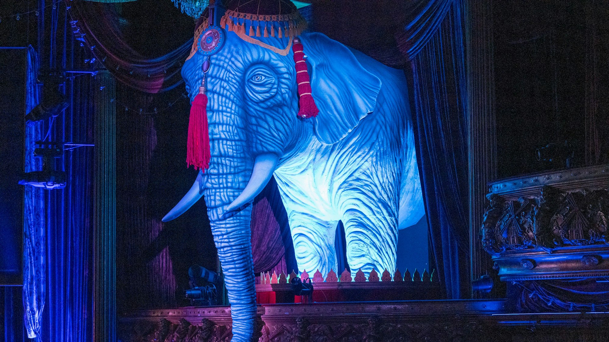 Wirtschaftsnacht Rheinland 2023: Der Elefant im Raum