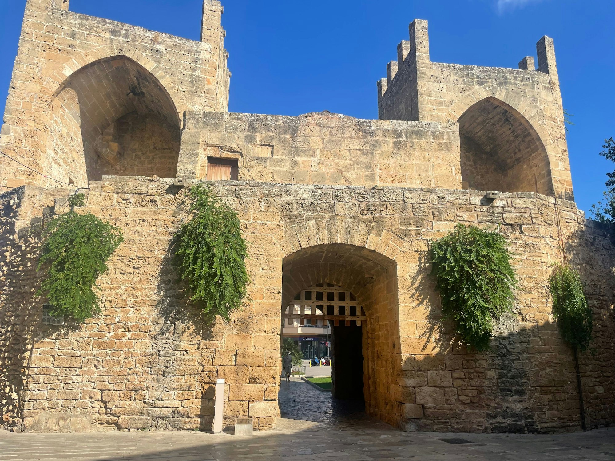 Die mittelalterlichen Stadtmauern von Alcúdia sind eine beliebte Sehenswürdigkeit auf Mallorca.