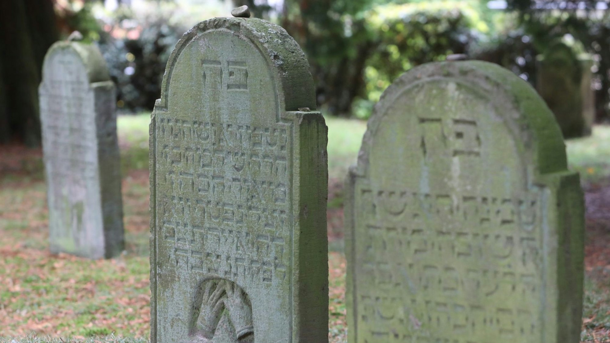 Drei Grabsteine auf dem jüdischen Friedhof in Bad Honnef-Selhof.