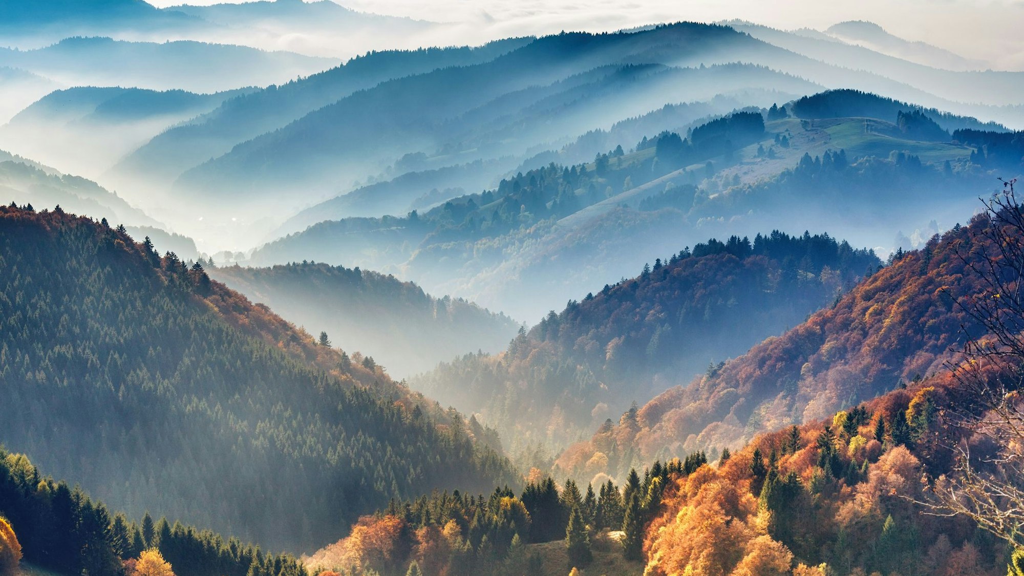 Auf dem Foto sieht man den Schwarzwald im Herbst, während er noch etwas mit Nebel bedeckt ist.