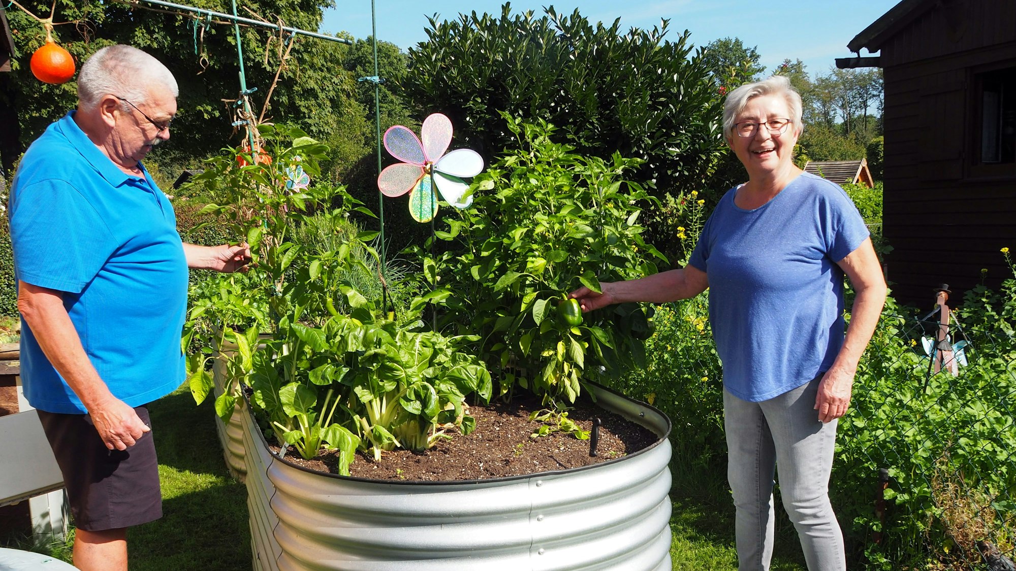 Ein Mann und eine Frau stehen in einem Garten links und rechts von einem ovalen Hochbeet mit Paprikapflanzen.