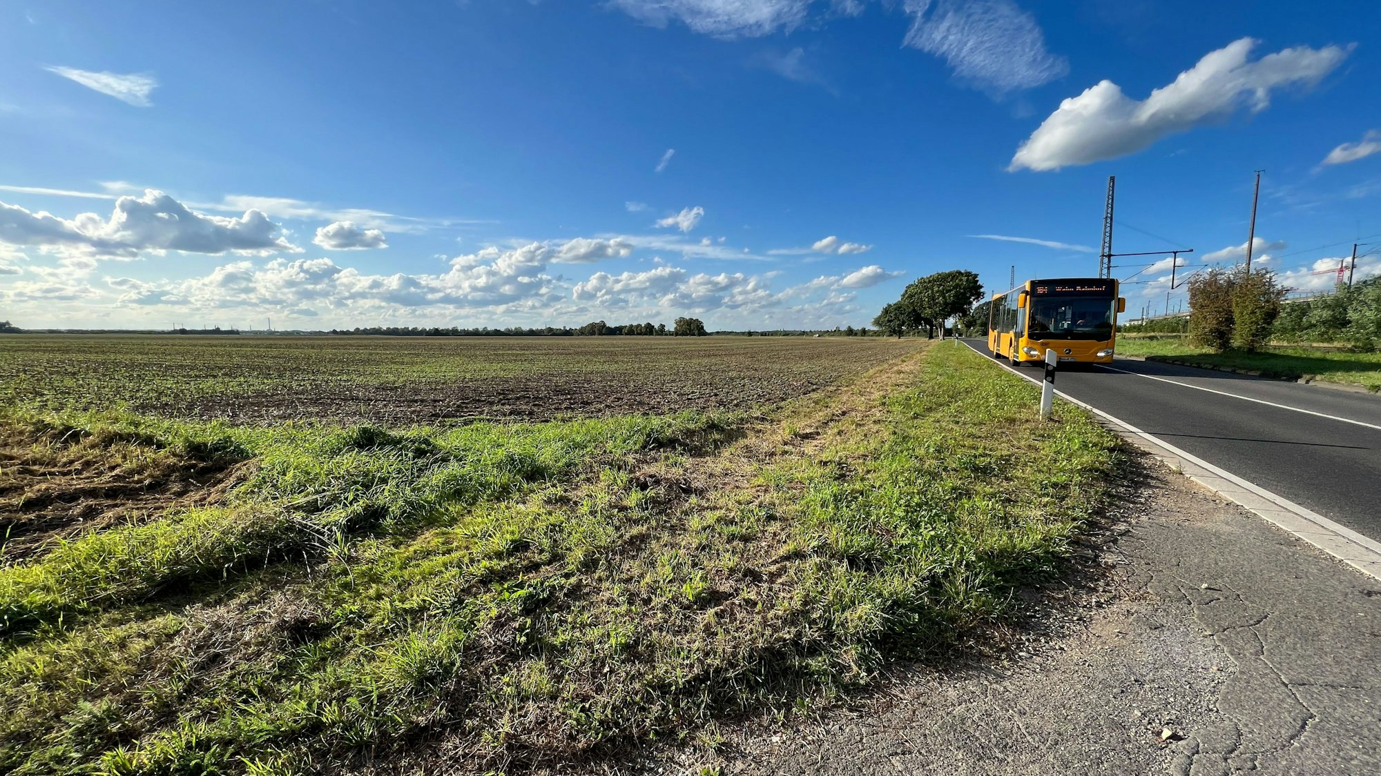 Aufnahme eines Feldes an einer Straße, auf der ein gelber Bus entlangfährt