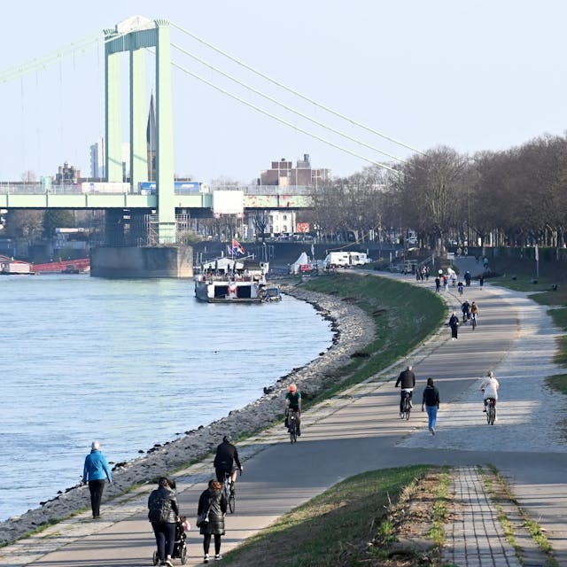 Die Rodenkirchener Brücke in Köln vom Rheinufer aus betrachtet