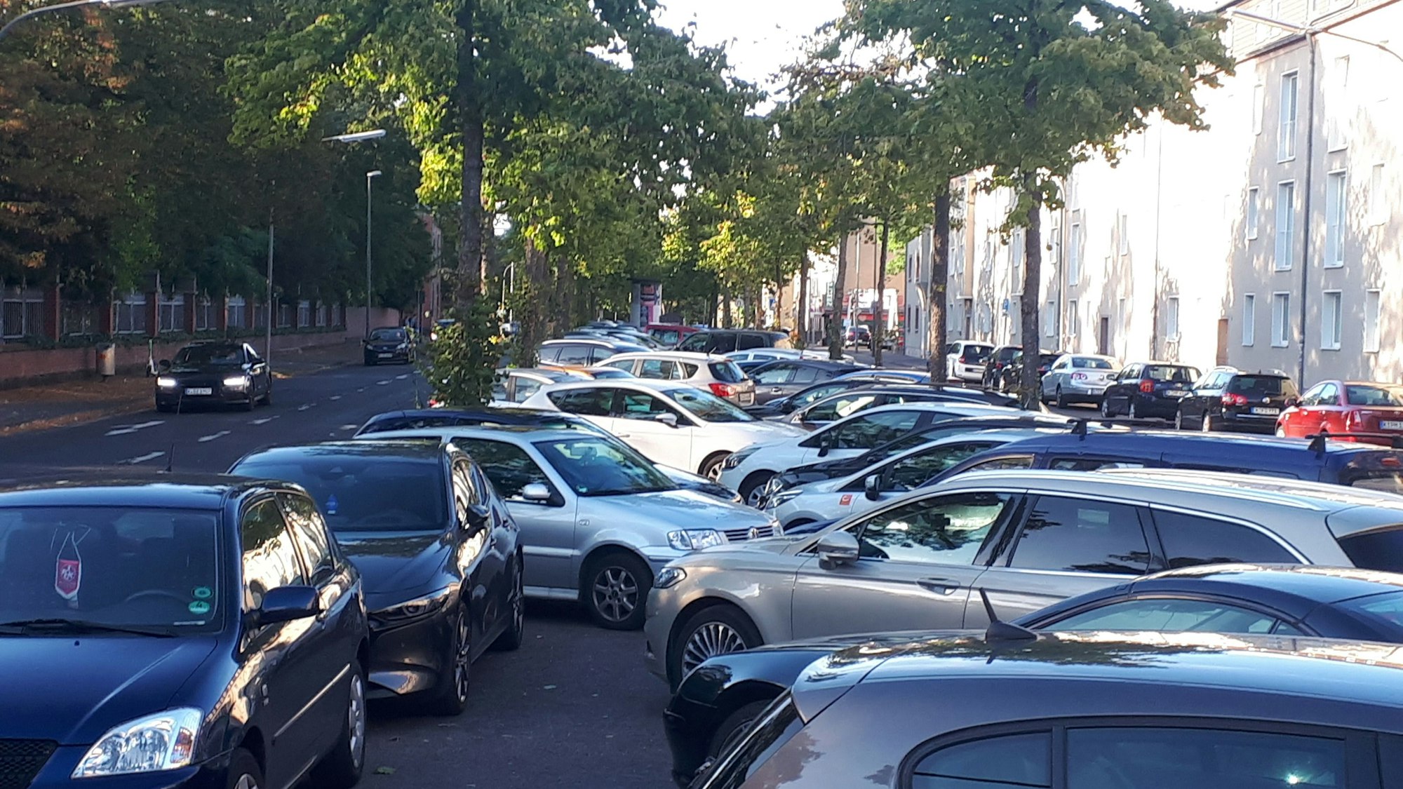 Auf der Mittelallee einer baumbestandenen Straße parken viele Autos.