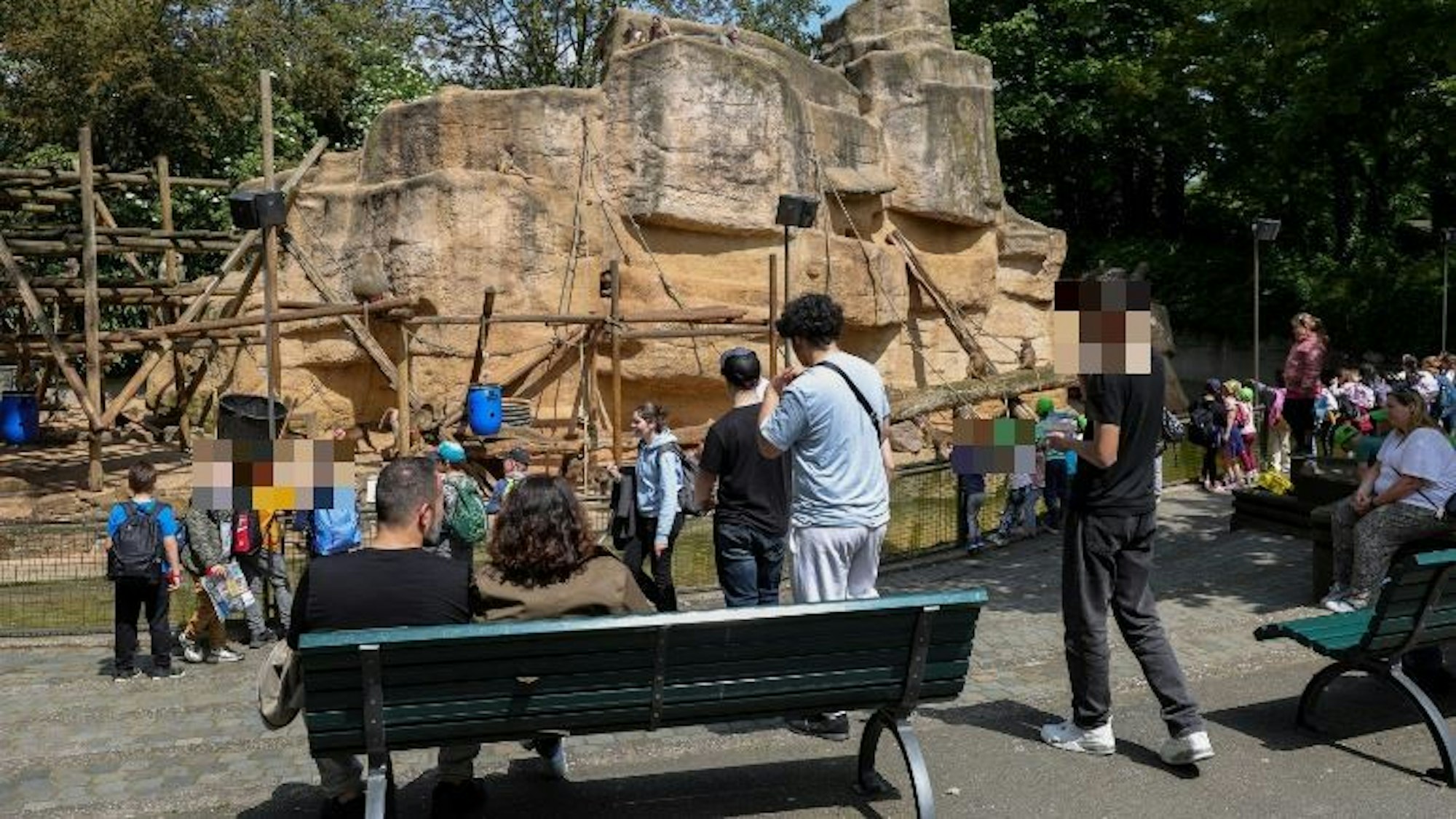 Blick auf den Pavianfelsen im Kölner Zoo, im Vordergrund sind einige Besucherinnen und Besucher zu sehen.