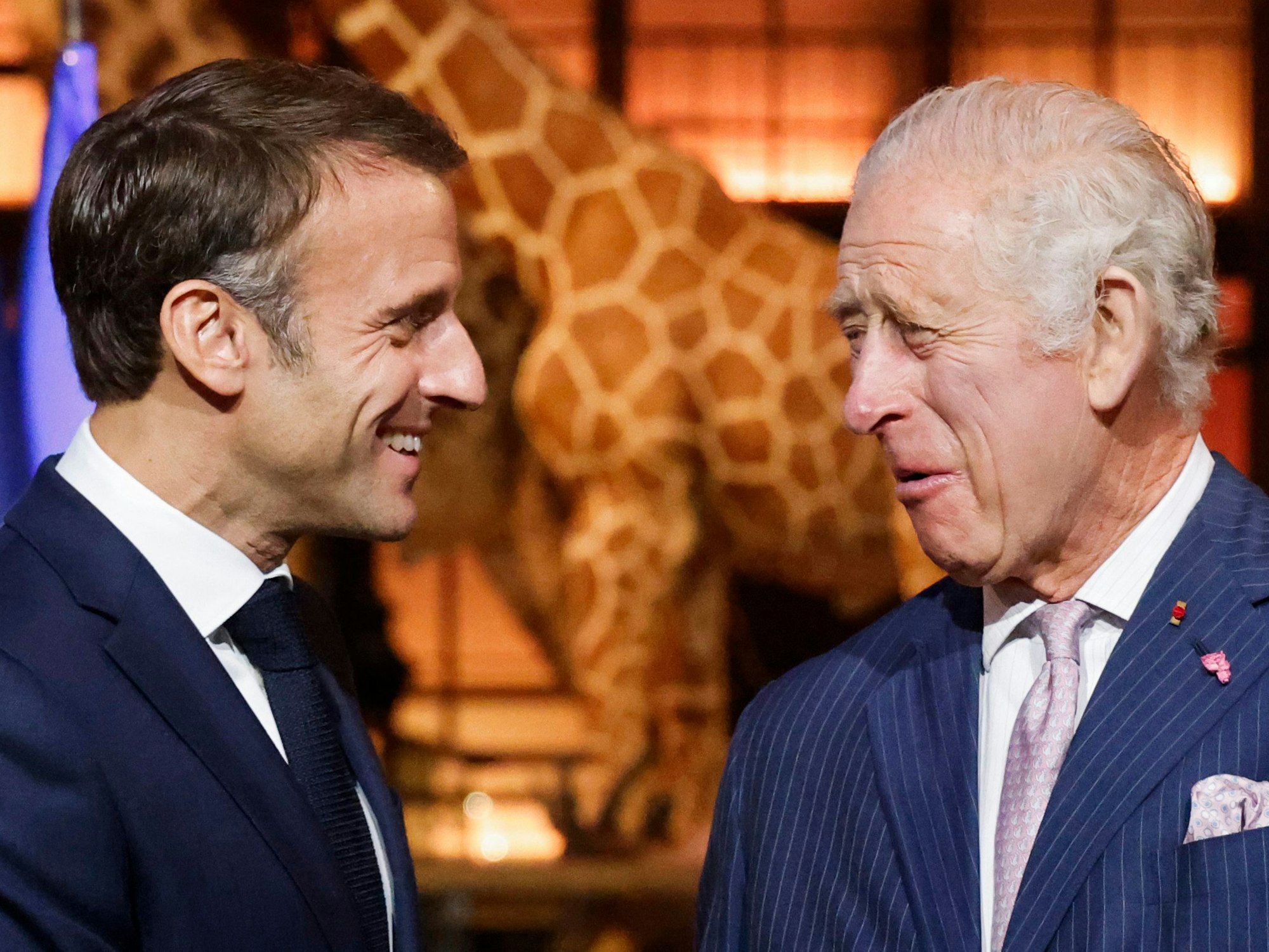 Emmanuel Macron (l), Präsident von Frankreich, und König Charles III. von Großbritannien lachen während ihres Besuchs im Naturhistorischen Museum von Paris.