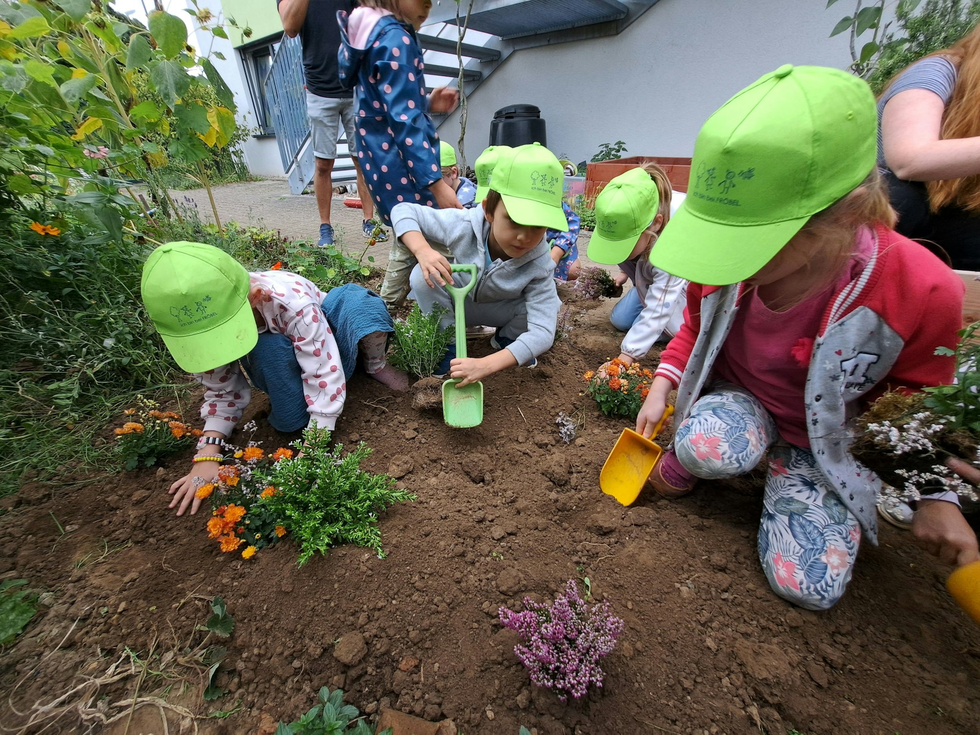 Kinder pflanzen Blumen in ein Beet.