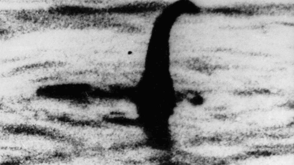 Das undatierte Foto soll das Monster von Loch Ness zeigen.