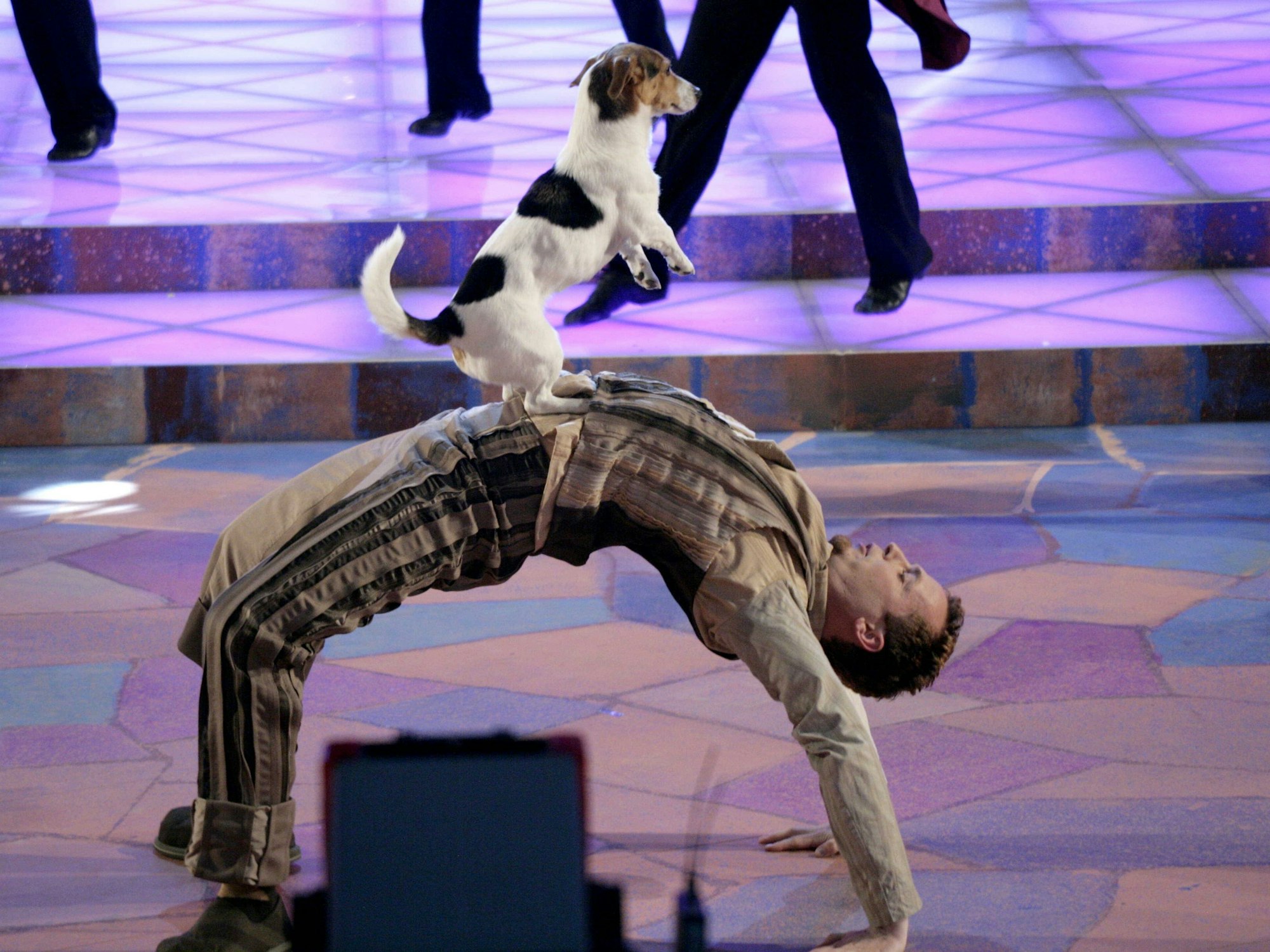 Yvo Antoni mit Hund Prima Donna auf der Bühne.