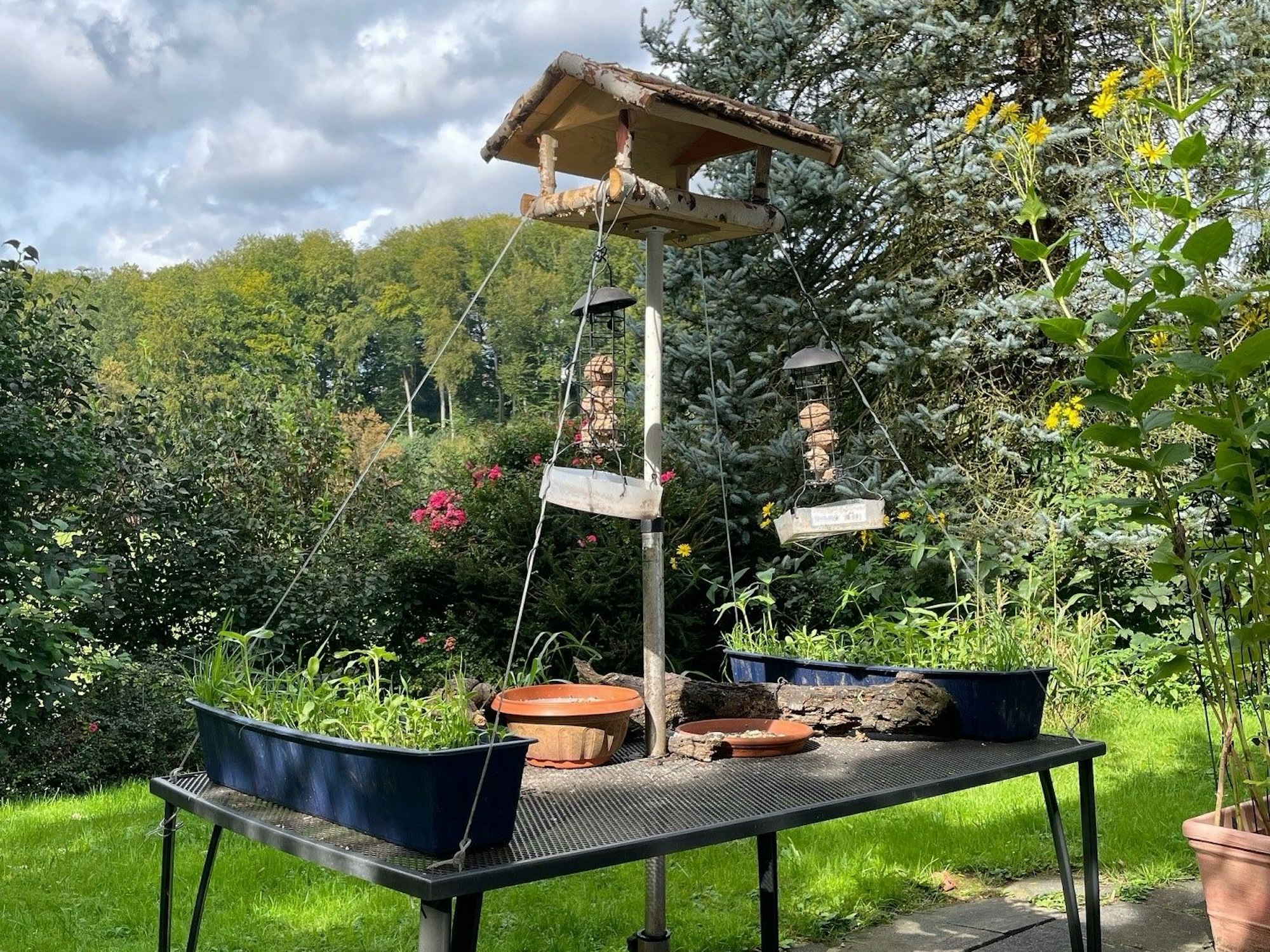 Das Vogelhäuschen im Garten von Peter H. im Bergischen Land.