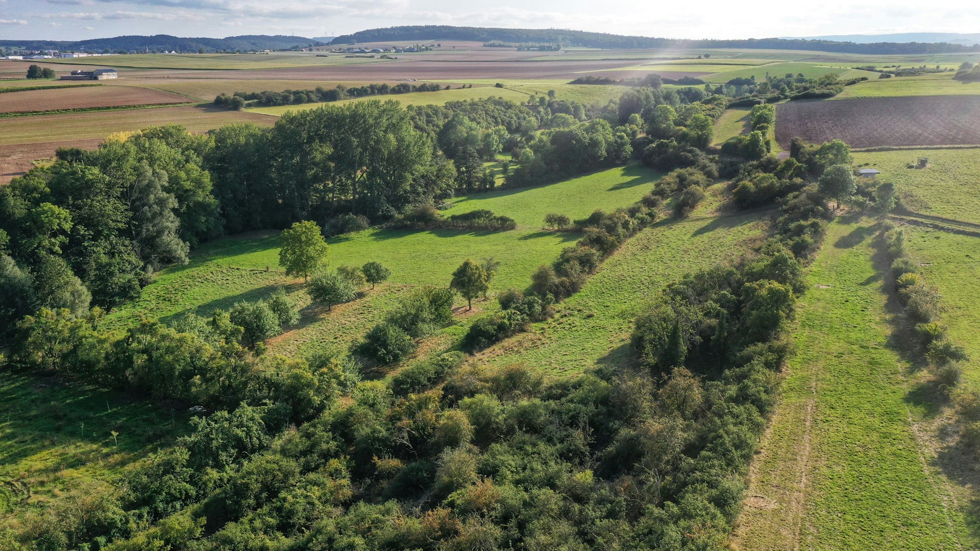 Eine Luftaufnahme zeigt das Rotbachtal, zu sehen sind Wiesen, Felder, Büsche und Bäume.