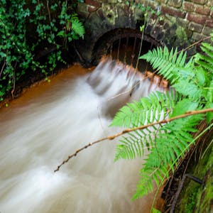 Das Bild zeigt das sogenannte Mundloch des Burgfeyer Stollens und das Wasser, das dort in den Veybach läuft.