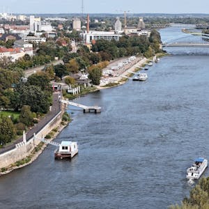 Magdeburg in Sachsen-Anhalt im September: Ein Fahrgastschiff der Weissen Flotte, fährt auf der Elbe stromabwärts auf der Stadtstrecke.