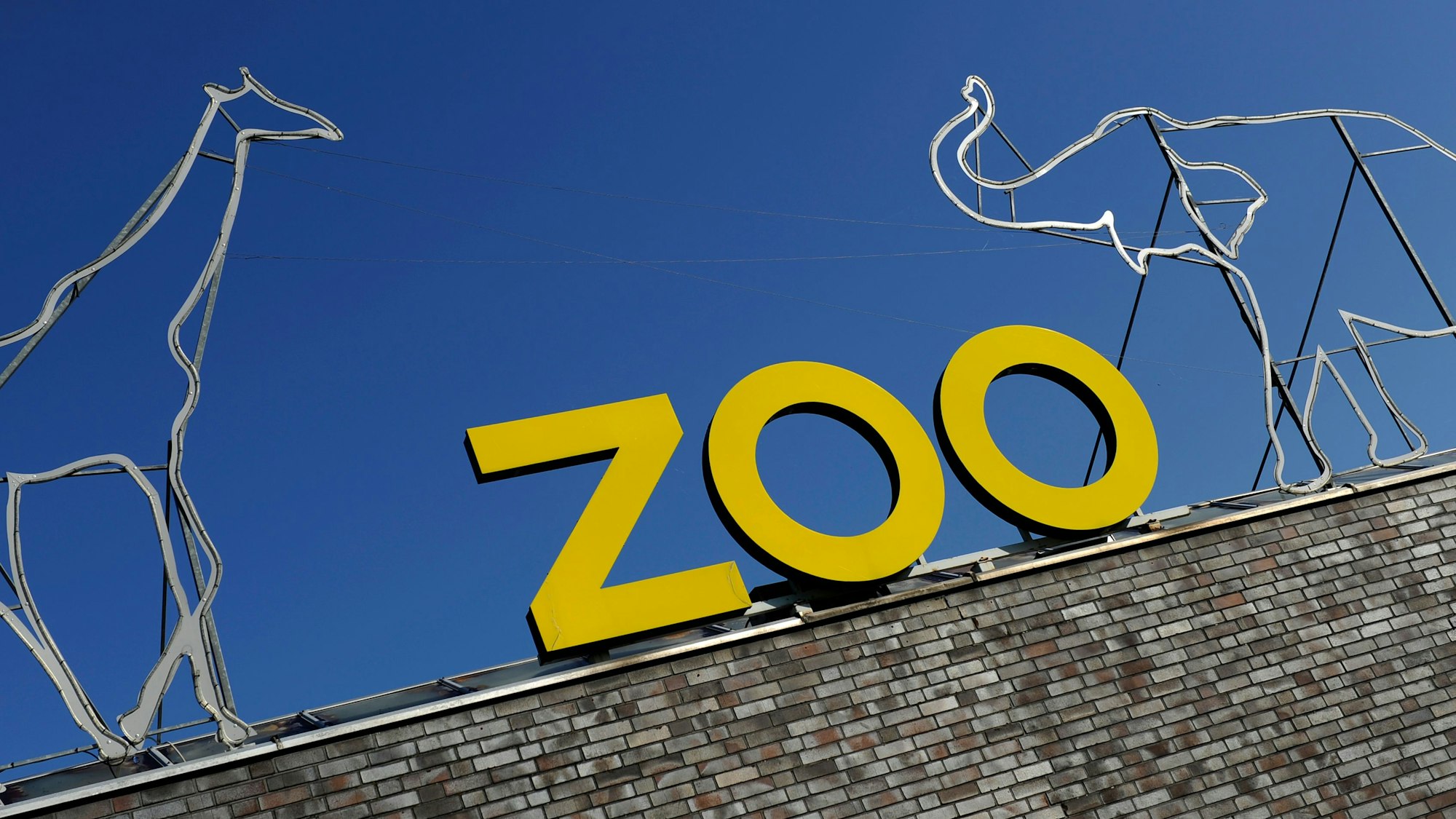 Der Kölner Zoo trauert um „Ailton“. Das Foto zeigt die Mauer und den Schriftzug „Zoo“ am Kölner Zoo.