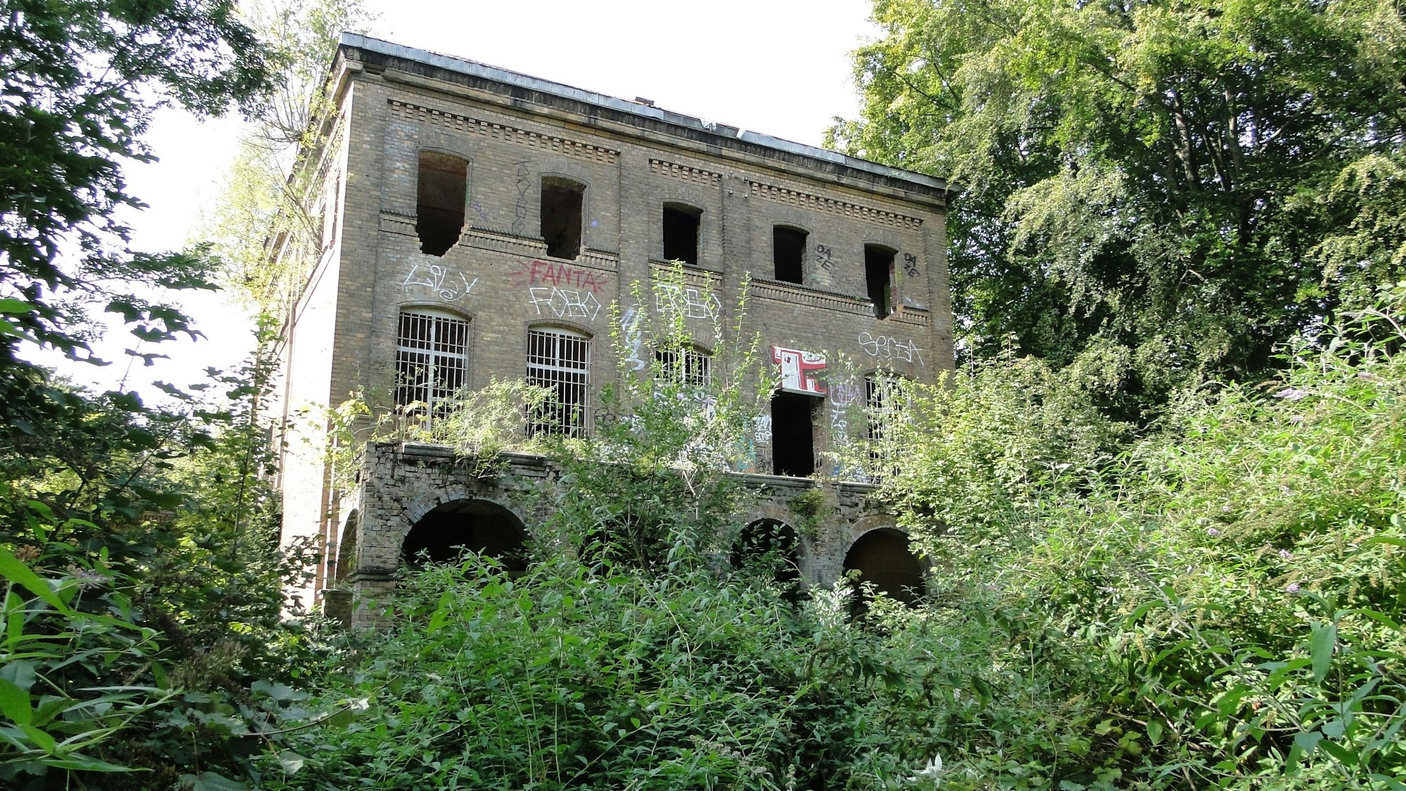 Inmitten von Bäumen und Gestrüpp steht die fensterscheibenlose Ruine einer alten Villa.
