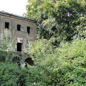 Inmitten von Bäumen und Gestrüpp steht die fensterscheibenlose Ruine einer alten Villa.