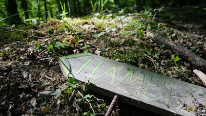 Ein Schild liegt auf Waldboden.
