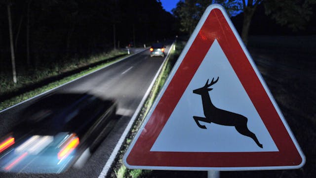 Ein „Achtung Wild!“-Verkehrszeichen steht am Rand einer Straße, auf der ein Auto fährt.