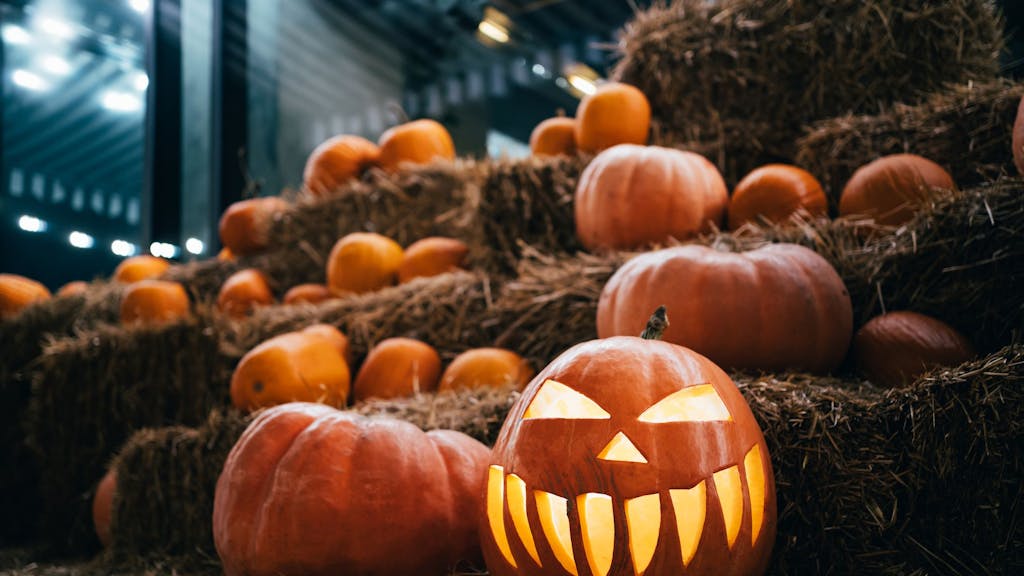 Viele Kürbisse liegen auf gestapelten Heuballen. Ganz vorne steht ein gruselig geschnitzter Halloween-Kürbis.