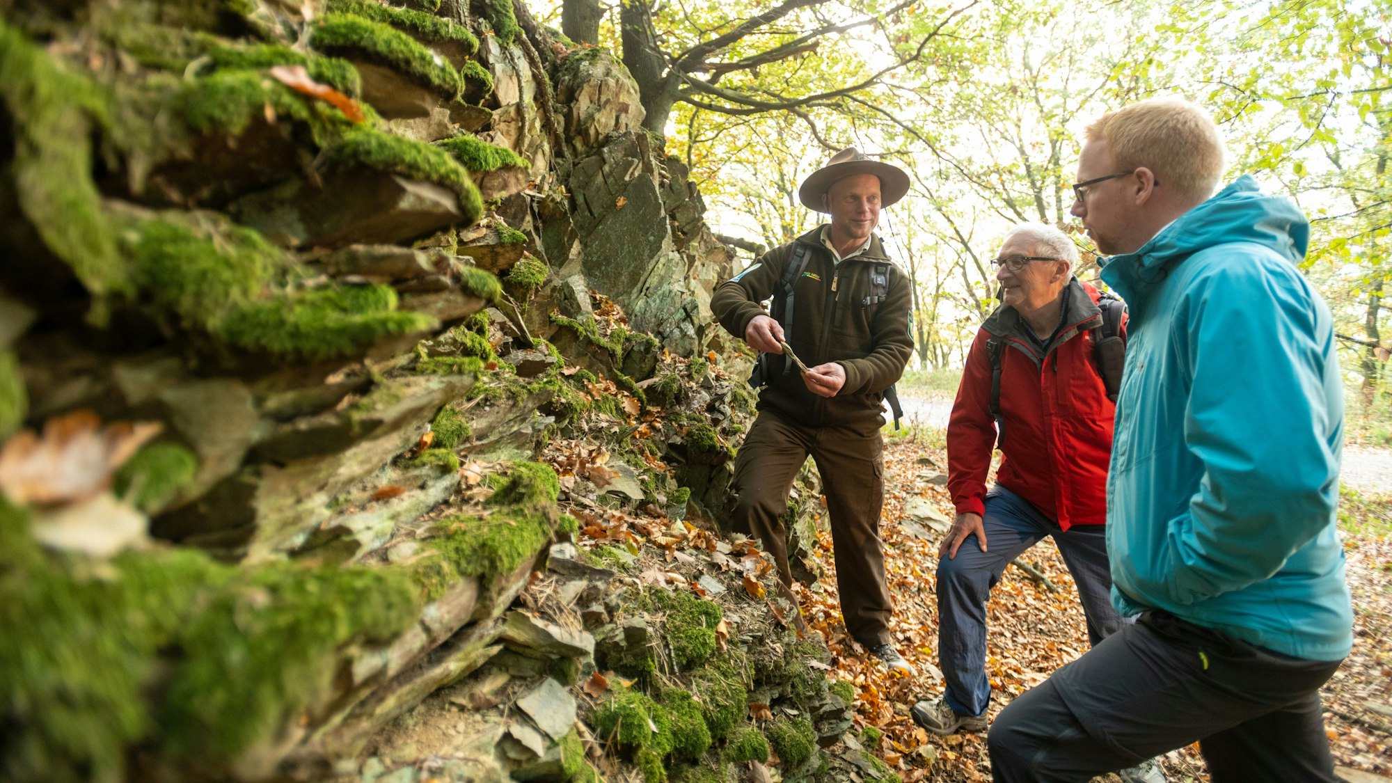 Ranger und zwei Wanderer stehen vor einer felsigen Wand in einem Wald im Nationalpark Eifel