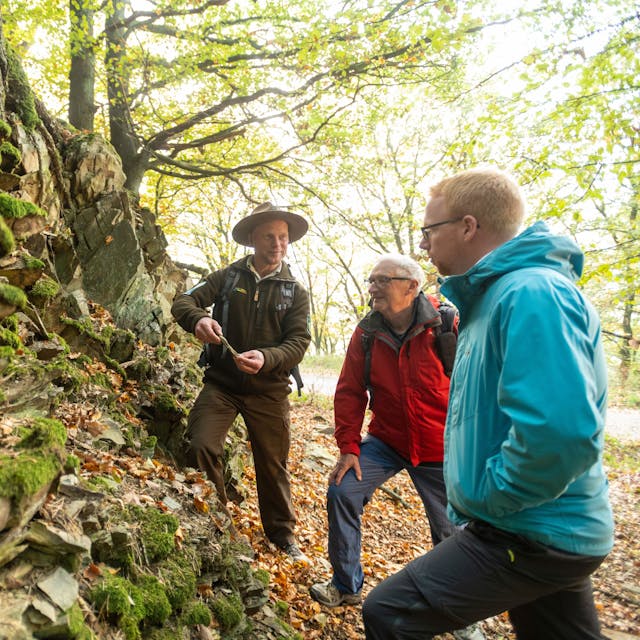 Ranger und zwei Wanderer stehen vor einer felsigen Wand in einem Wald im Nationalpark Eifel