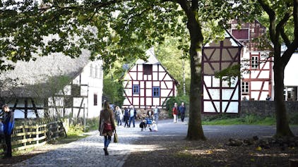 Mehrere Menschen laufen an Fachwerkhäusern im Freilichtmuseum vorbei. Ein hoher Baum rechts im Bild wirft Schatten auf die gepflasterten Wege.