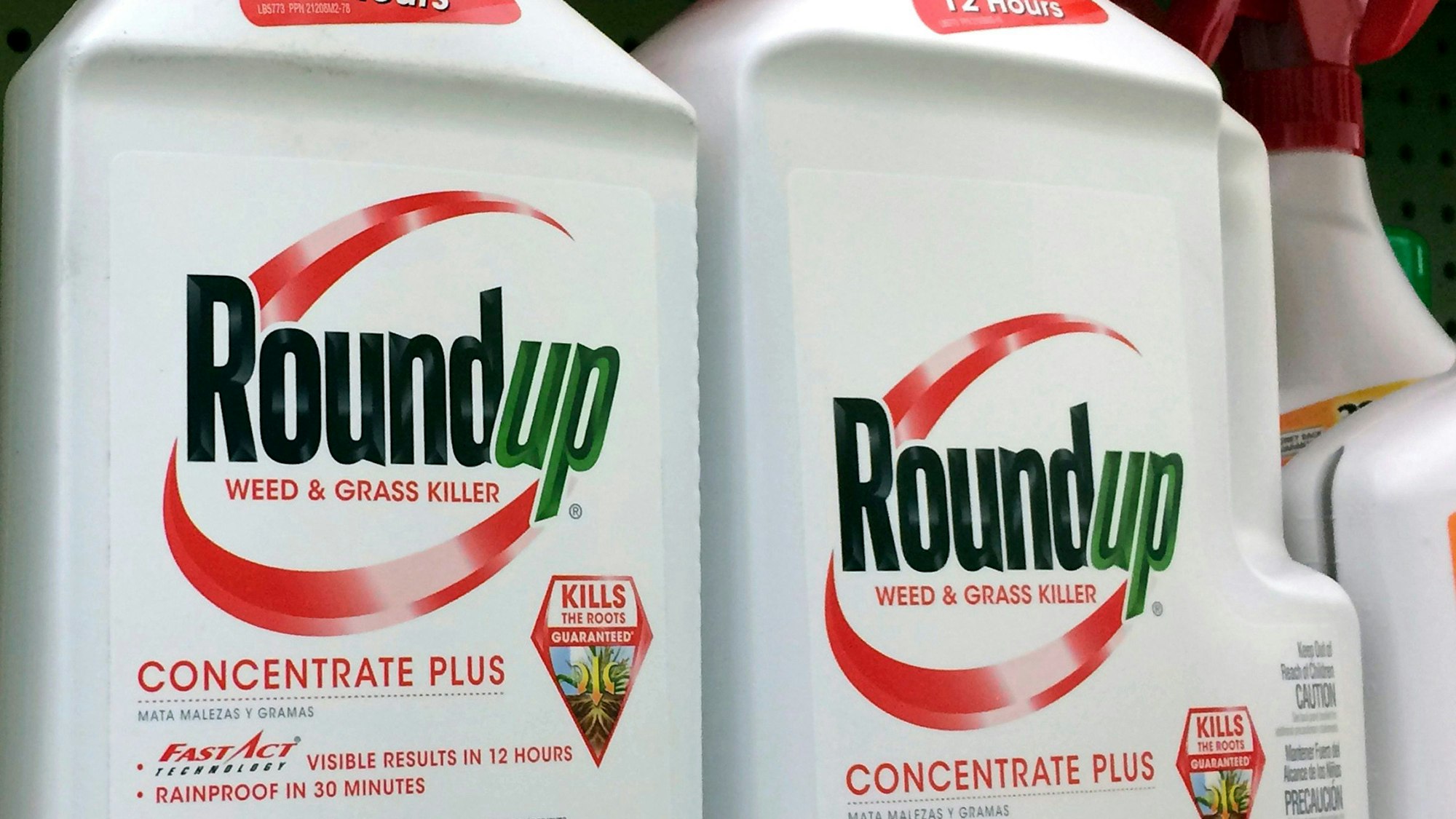 Behälter mit Roundup, ein glyphosathaltiges Unkrautvernichtungsmittel von Monsanto, stehen in einem Regal in einem Baumarkt.