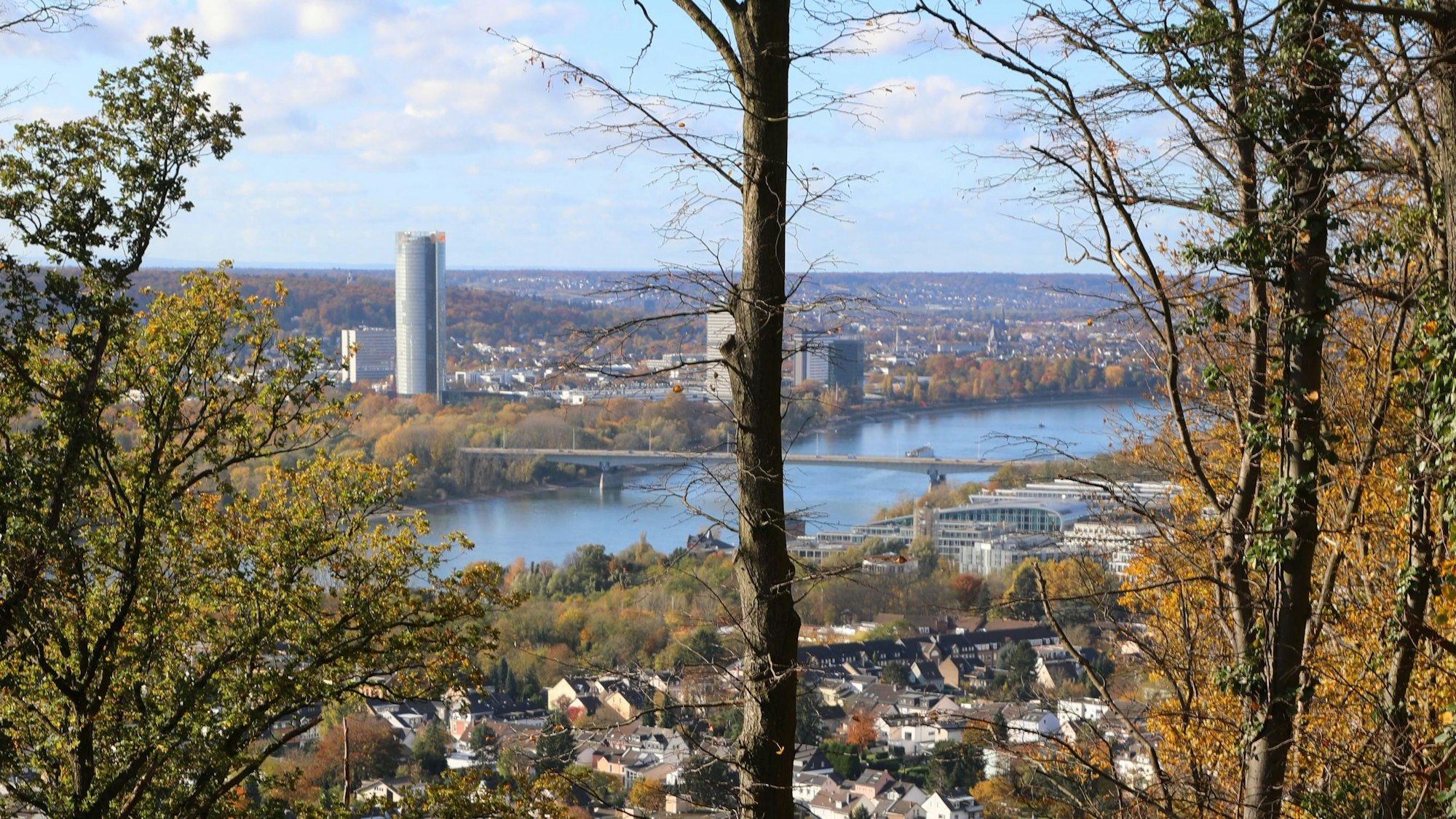 Foto mit Ausblick auf den Rhein und die dahinter liegende Stadt.