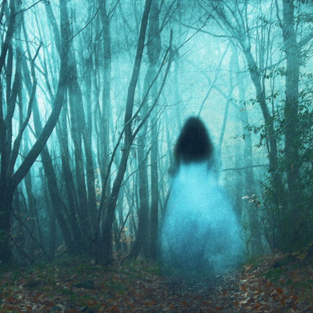 Gruselige Orte: Nur ein wenig Fantasie ist nötig, um Gestalten im Nebelwald entdecken.