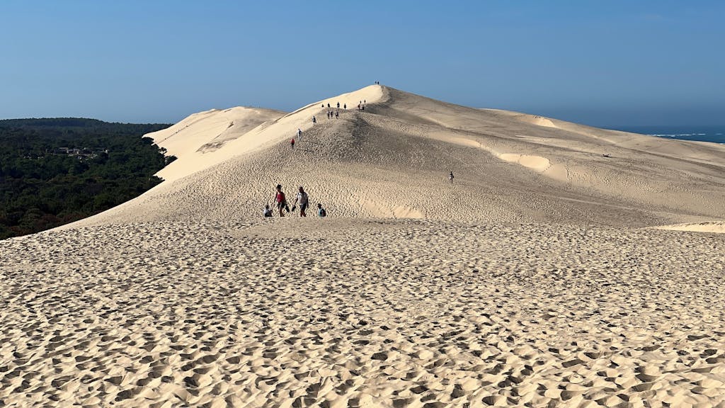Sand, so weit das Auge reicht auf der Dune du Pilat bei Arcachon am Atlantik.