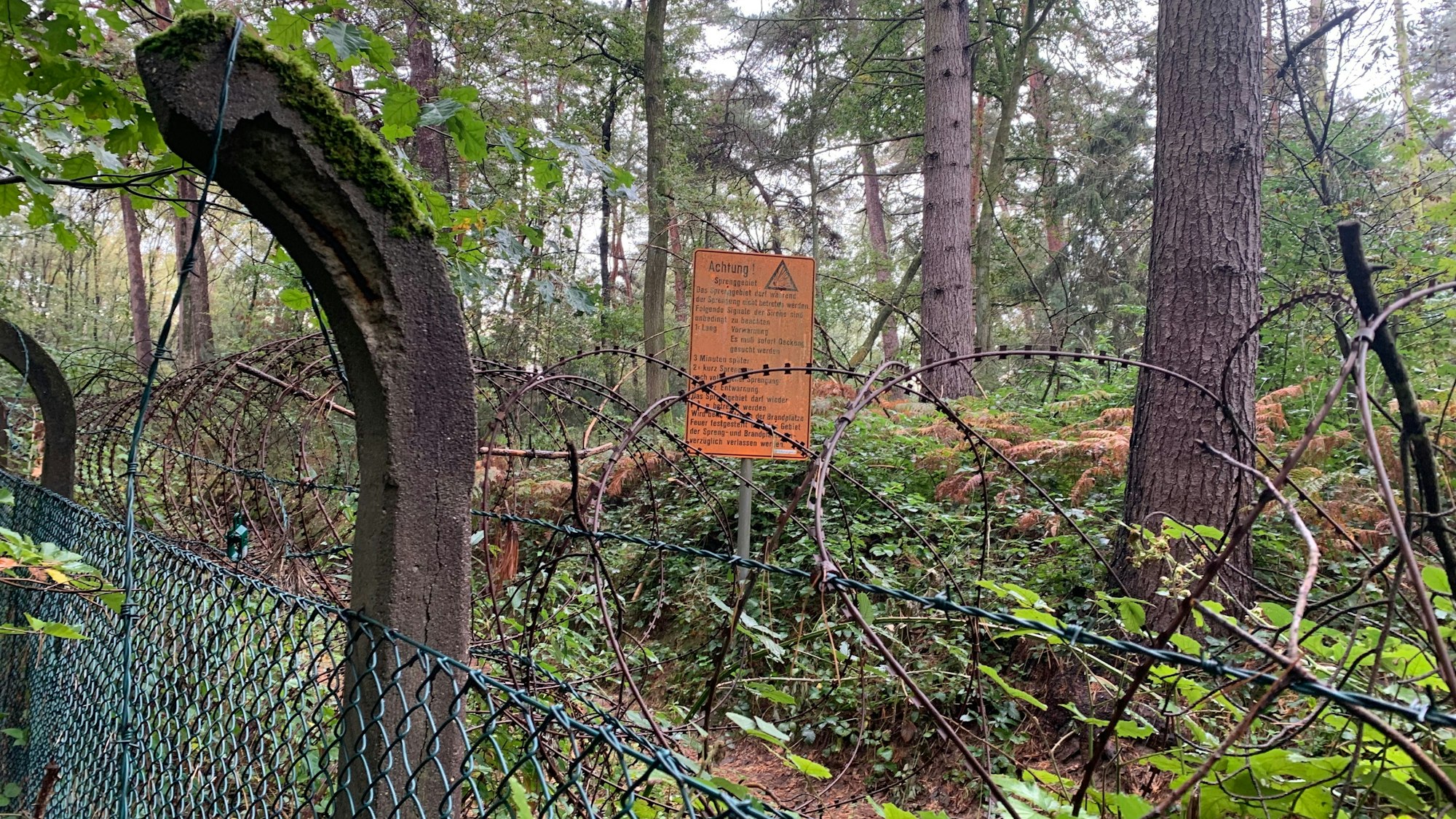 Ein Zaun verläuft an einem Grundstück.
