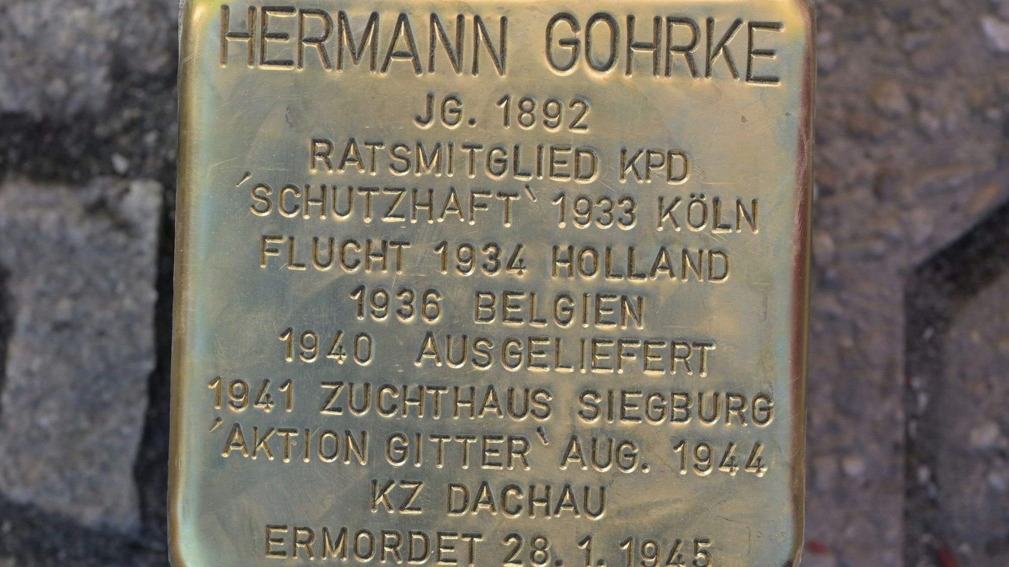 Das Foto zeigt den Gedekstein für Hermann Gohrke