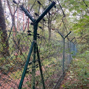 Ein mehrfach gesicherter Zaun trennt im Wald ein Grundstück ab.