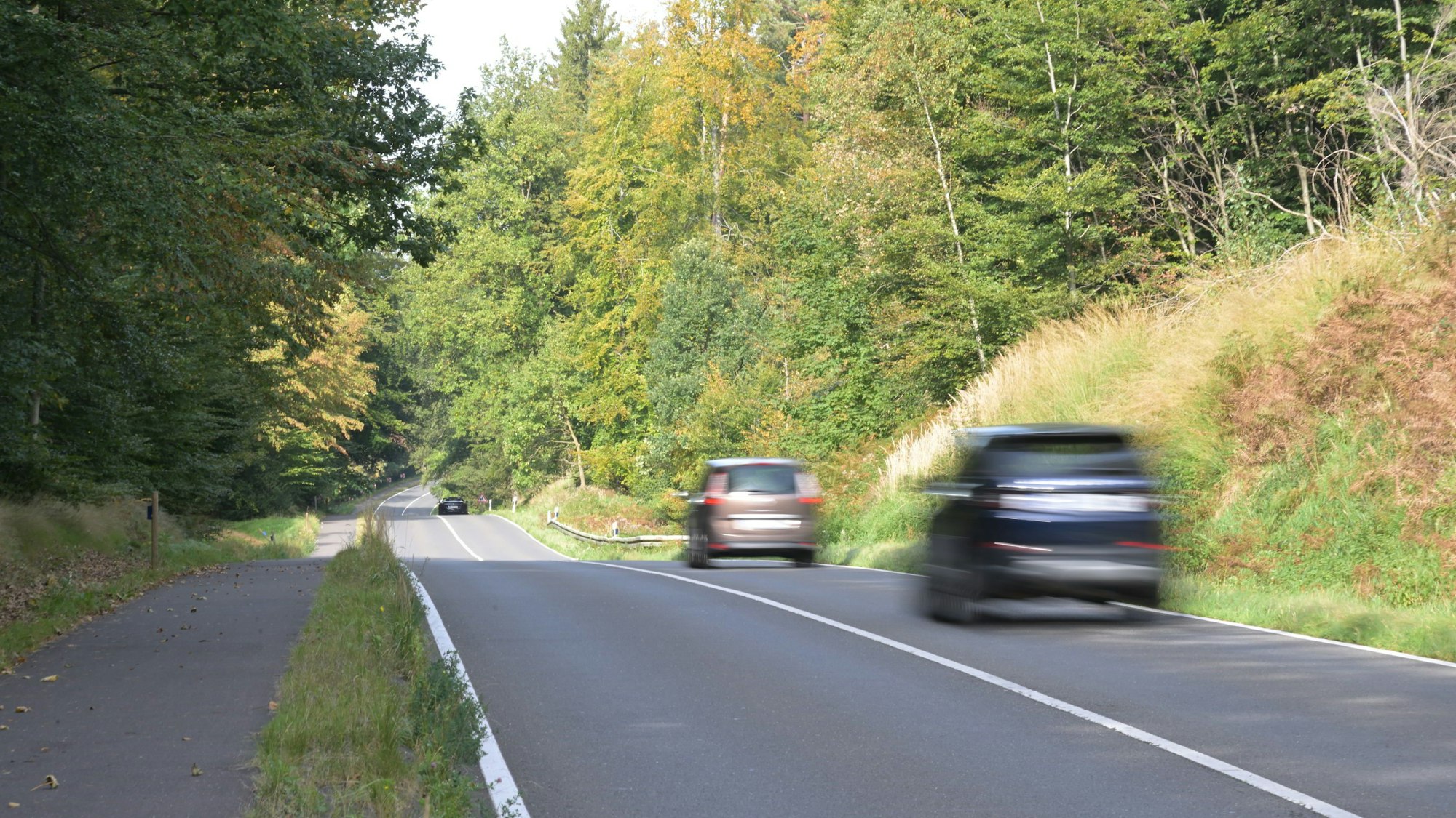 Die Straße zwischen Bensberg und Forsbach solle eine Geschwindigkeitsbegrenzung bekommen, fordert der örtliche Förster.