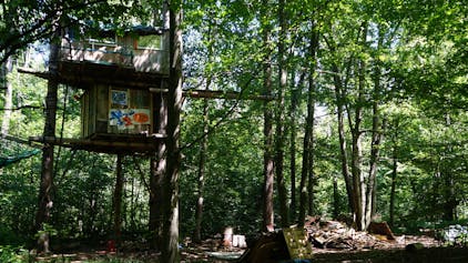 Auf dem Foto ist ein Baumhaus im Hambacher Forst zu sehen.