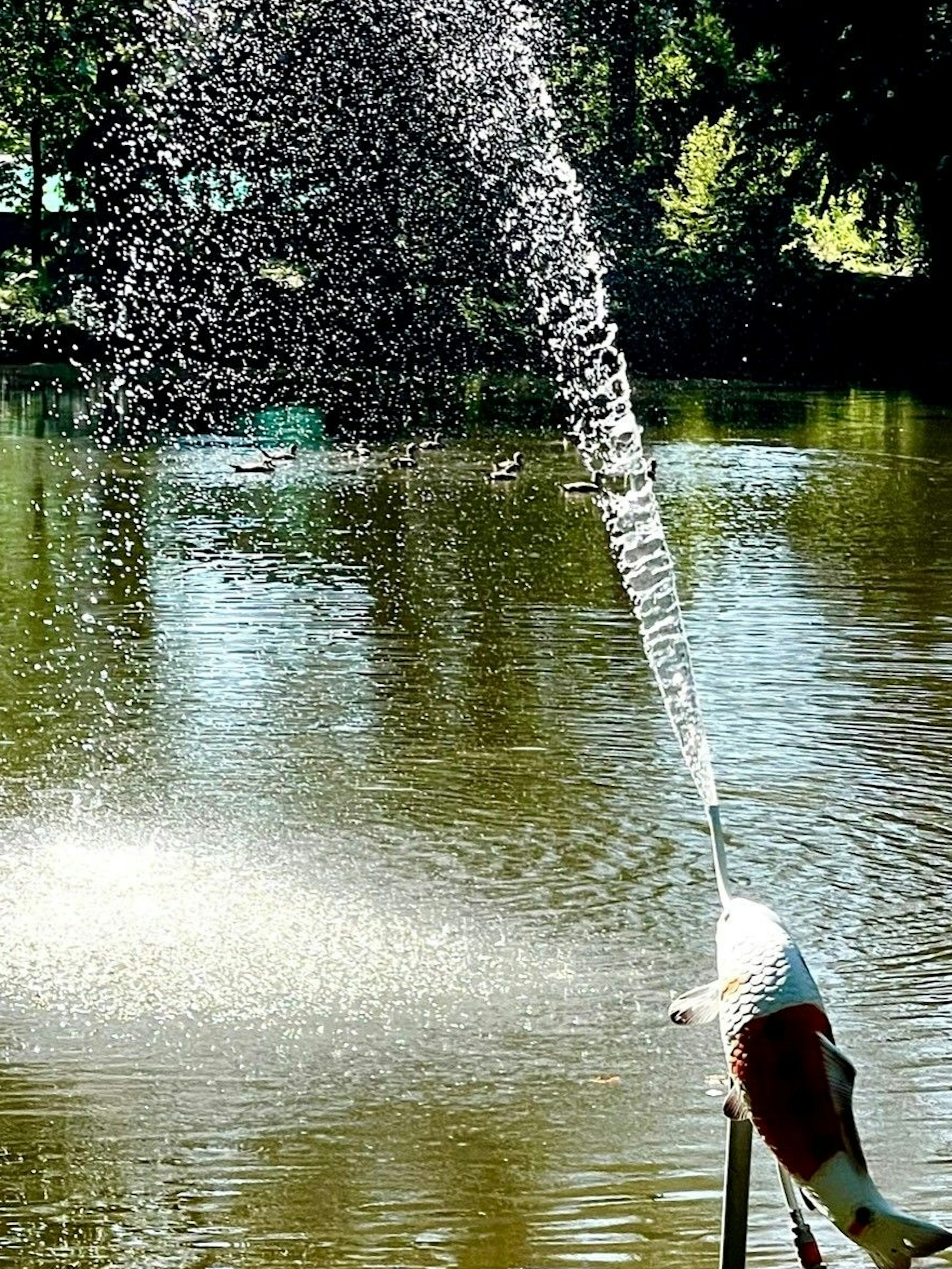 Das Bild zeigt die Skulptur eines Koifischs, aus dessen Maul ein Wasserstrahl kommt.