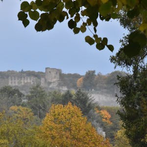 Die Burg Windeck im Herbst bei Nebel.