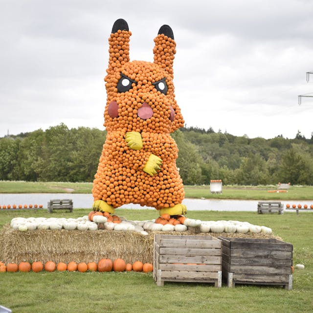 Bei der Kürbisschau in Obergartzem gibt es auch einen aus Kürbissen gebauten Pikachu zu sehen.