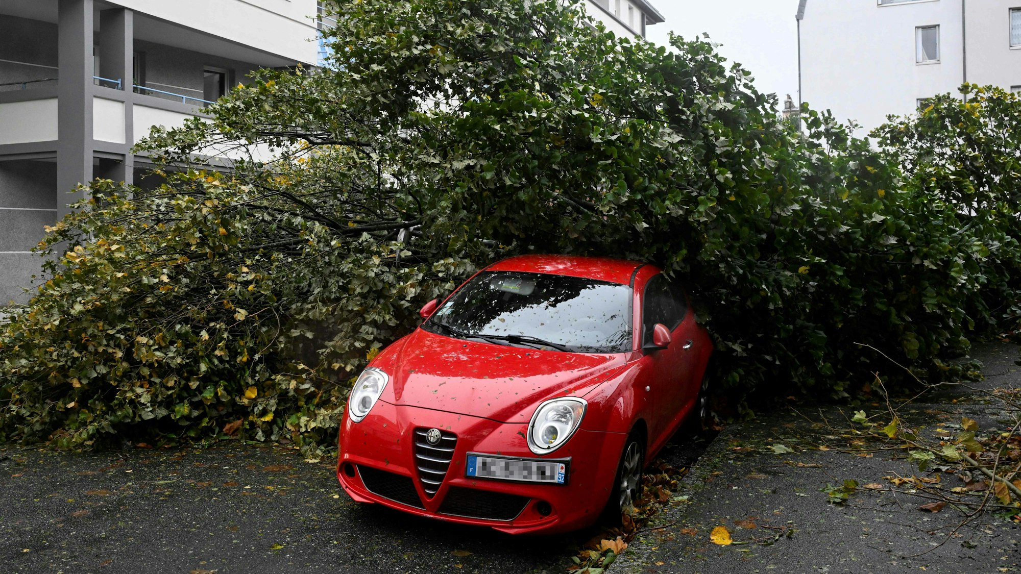 Sturmtief „Emir“/ „Ciaran“: Ein Auto ist von einem Baum begraben worden in Brest (Frankreich).