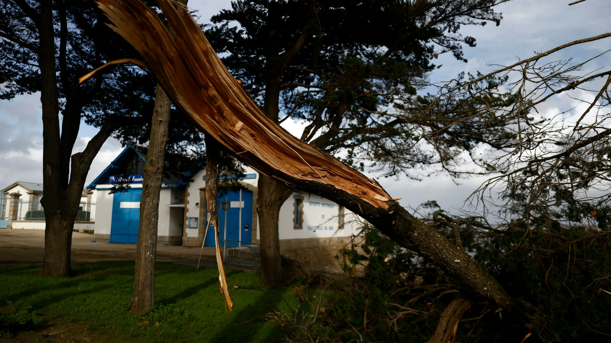 Sturmtief „Emir“/ „Ciaran“: Umgestürzte Bäume im Urlaubsort Le Pornic in der Bretagne.