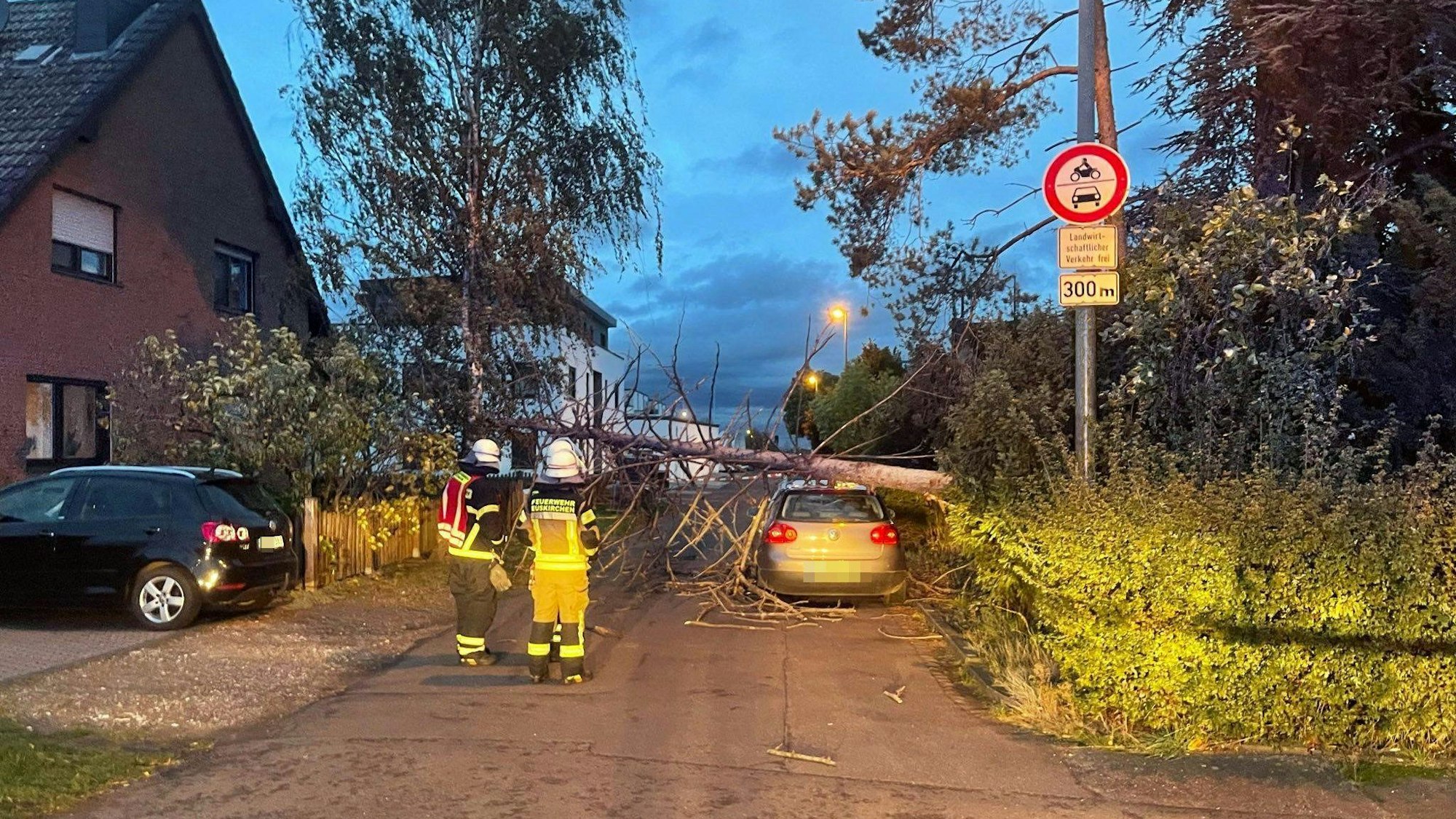 Sturmtief „Emir“/ „Ciaran“ in Euskirchen: Der Wind hat einen Baum entwurzelt, der auf ein Auto gefallen ist.