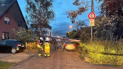 Sturmtief „Emir“ trifft NRW: In Euskirchen stürzte ein Baum auf ein Auto, Verletzte wurde offenbar niemand.