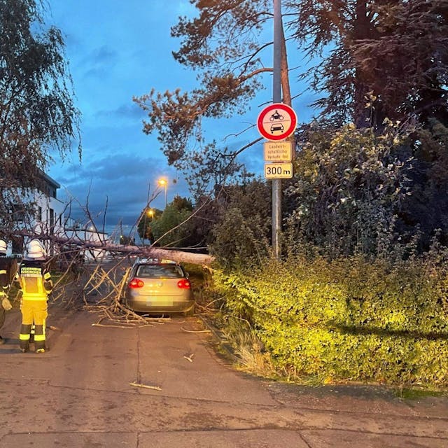 Sturmtief „Emir“ trifft NRW: In Euskirchen stürzte ein Baum auf ein Auto, Verletzte wurde offenbar niemand.