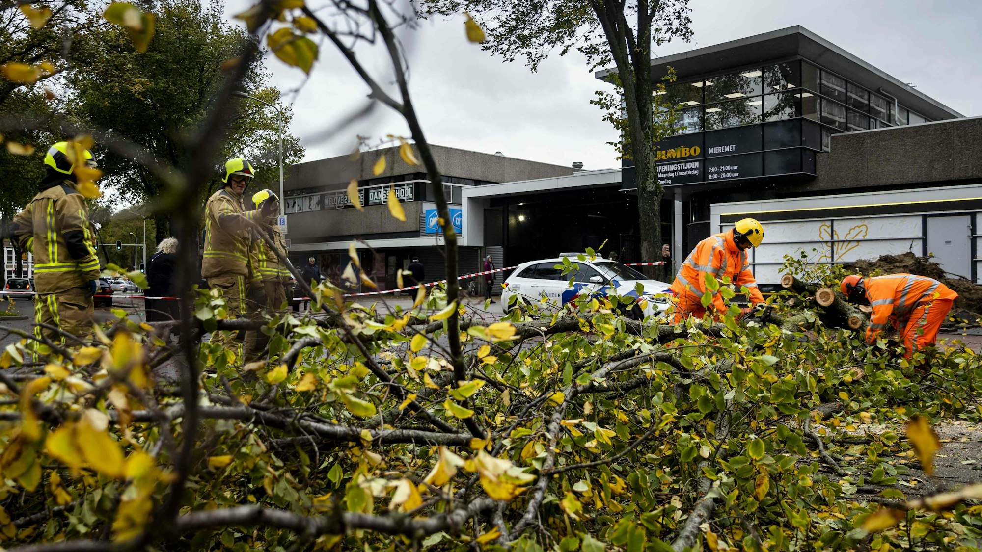 Sturmtief „Emir“/ „Ciaran“: Arbeiter beseitigen umgestürzte Bäume in Den Haag (Niederlande)