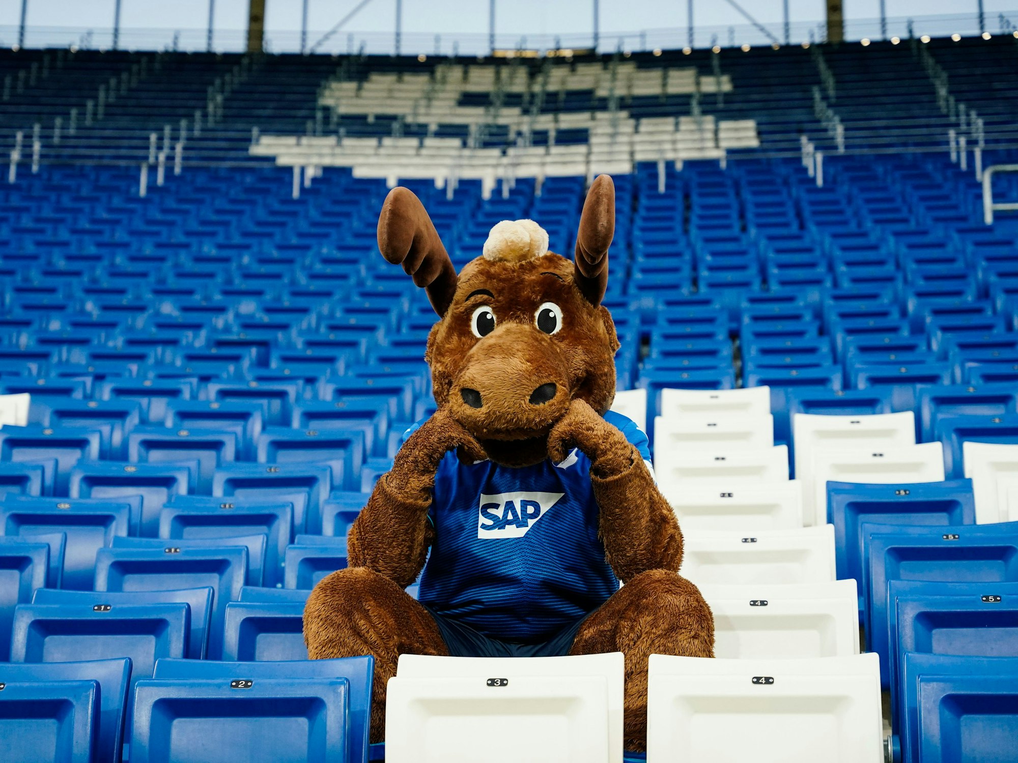 Hoffi sitzt alleine auf der Stadiontribüne.