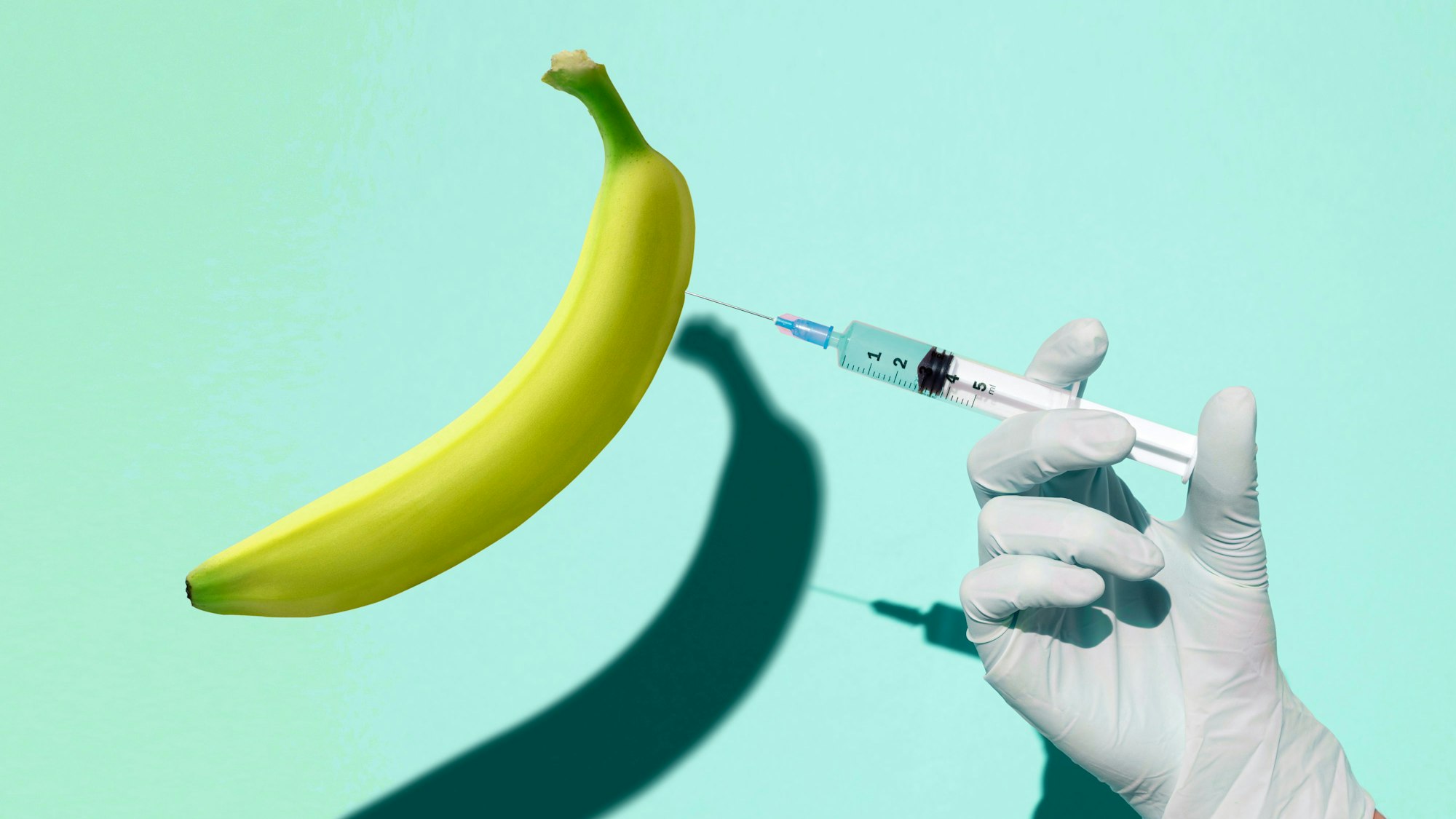 Eine Hand setzt eine Spritze in eine Banane. Symbolbild zu Erektionsstörungen.

Getty Images / Francesco Carta fotografo