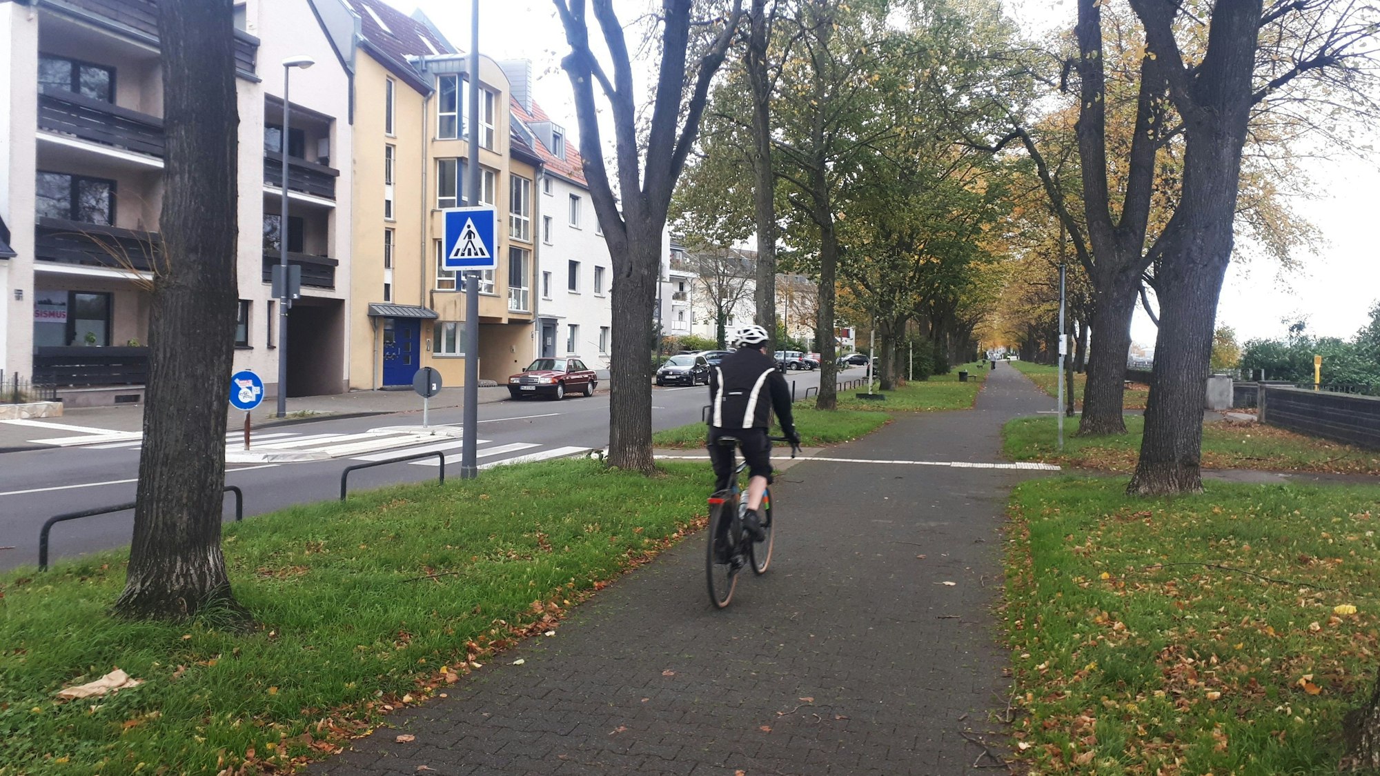 Ein Fahrradfahrer fährt auf dem Rheinufer